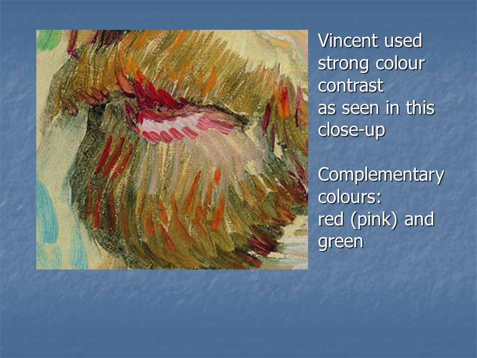 Vincent used strong colour contrast as seen in this close-up Complementary colours: red (pink) and green