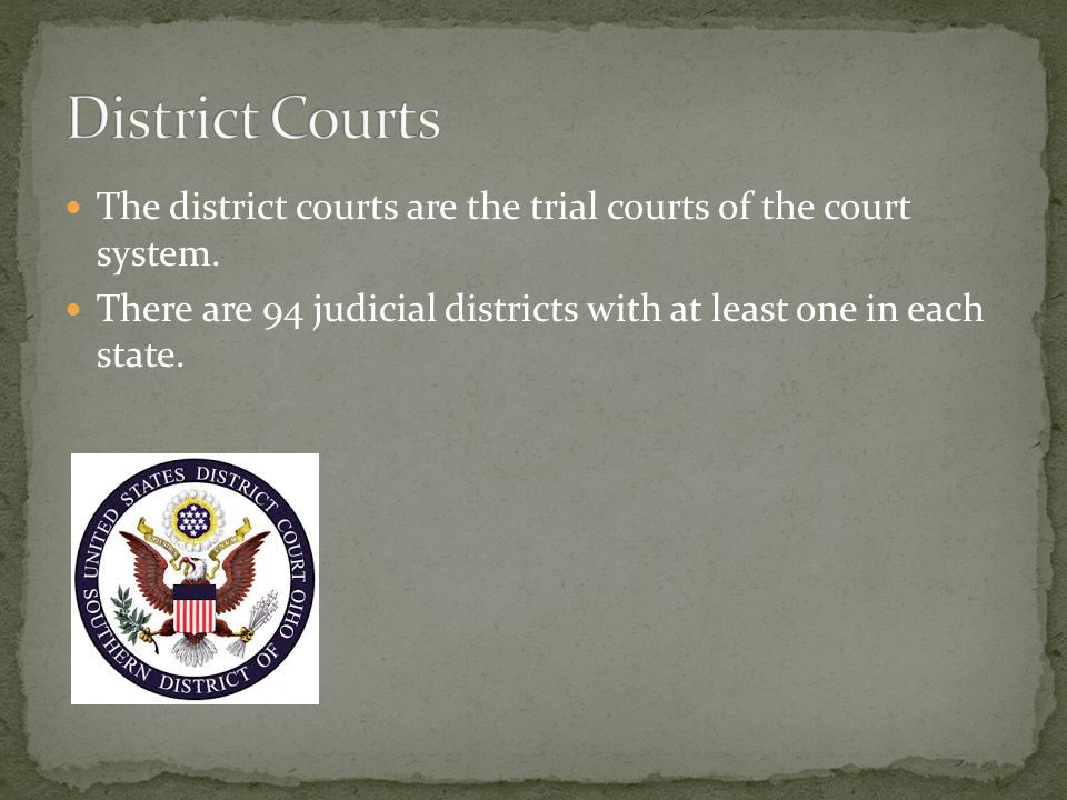 The district courts are the trial courts of the court system.