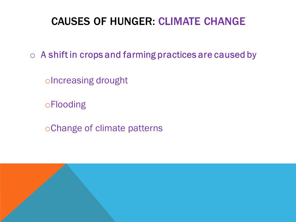 CAUSES OF HUNGER: CLIMATE CHANGE o A shift in crops and farming practices are caused by o Increasing drought o Flooding o Change of climate patterns