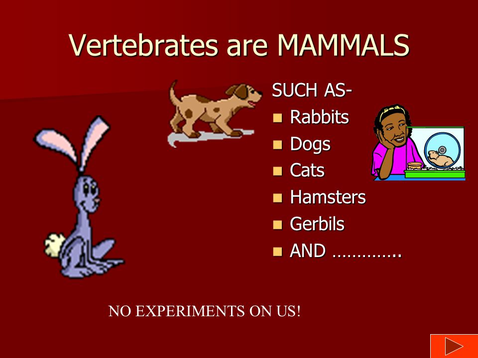 Vertebrates are BIRDS Don’t Experiment on us!
