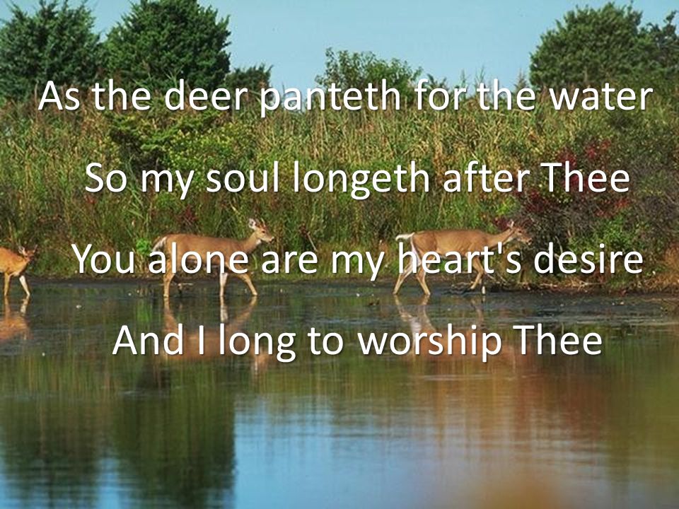 As the deer panteth for the water So my soul longeth after Thee You alone are my heart s desire And I long to worship Thee