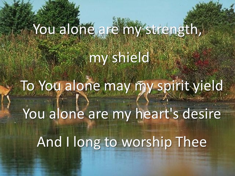 You alone are my strength, my shield To You alone may my spirit yield You alone are my heart s desire And I long to worship Thee my shield To You alone may my spirit yield You alone are my heart s desire And I long to worship Thee