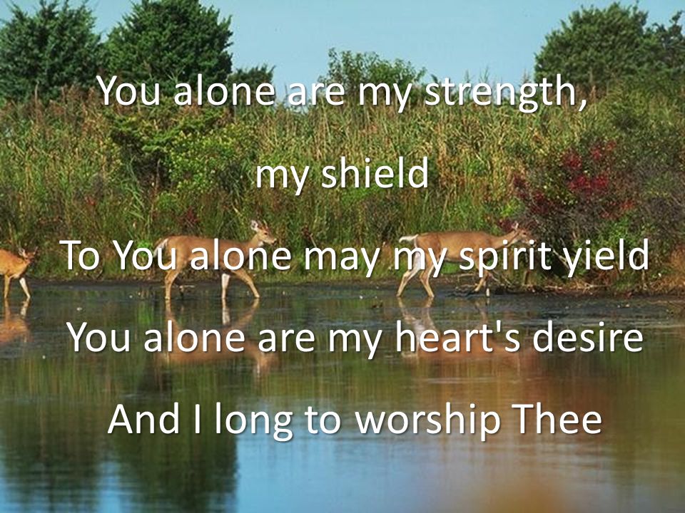 You alone are my strength, my shield To You alone may my spirit yield You alone are my heart s desire And I long to worship Thee