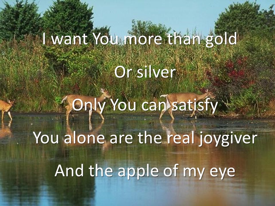 I want You more than gold Or silver Only You can satisfy You alone are the real joygiver And the apple of my eye