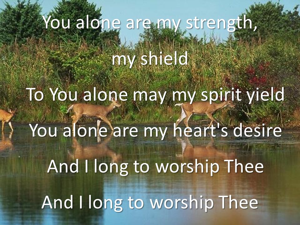 You alone are my strength, my shield To You alone may my spirit yield You alone are my heart s desire And I long to worship Thee And I long to worship Thee