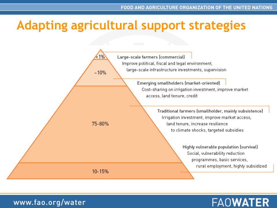 Adapting agricultural support strategies