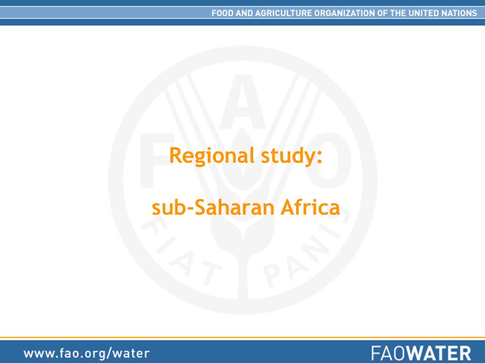 Regional study: sub-Saharan Africa