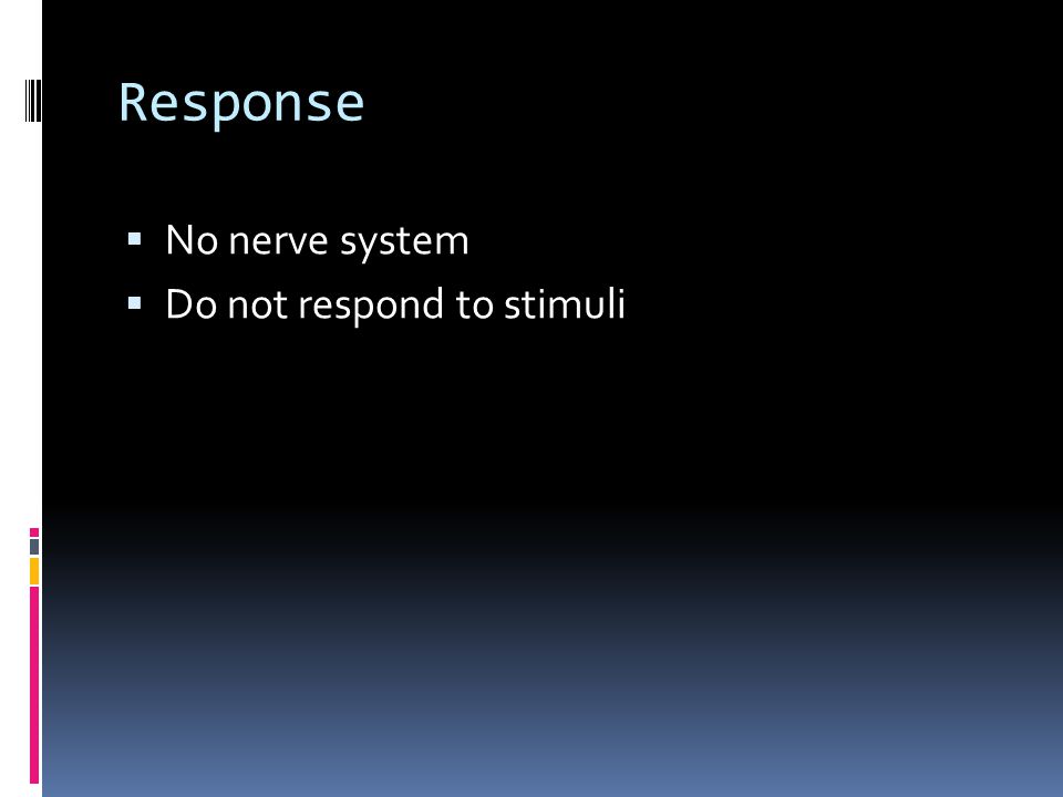 Response  No nerve system  Do not respond to stimuli