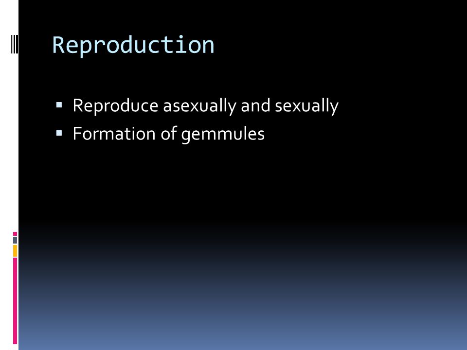 Reproduction  Reproduce asexually and sexually  Formation of gemmules