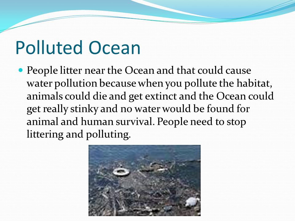 Polluted Ocean People litter near the Ocean and that could cause water pollution because when you pollute the habitat, animals could die and get extinct and the Ocean could get really stinky and no water would be found for animal and human survival.