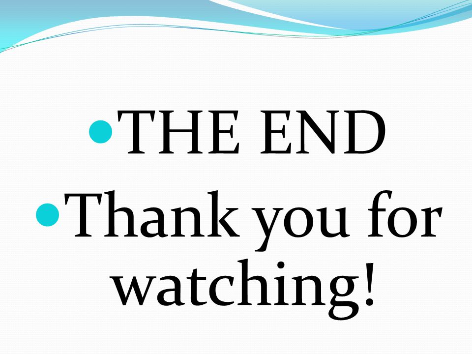 THE END Thank you for watching!