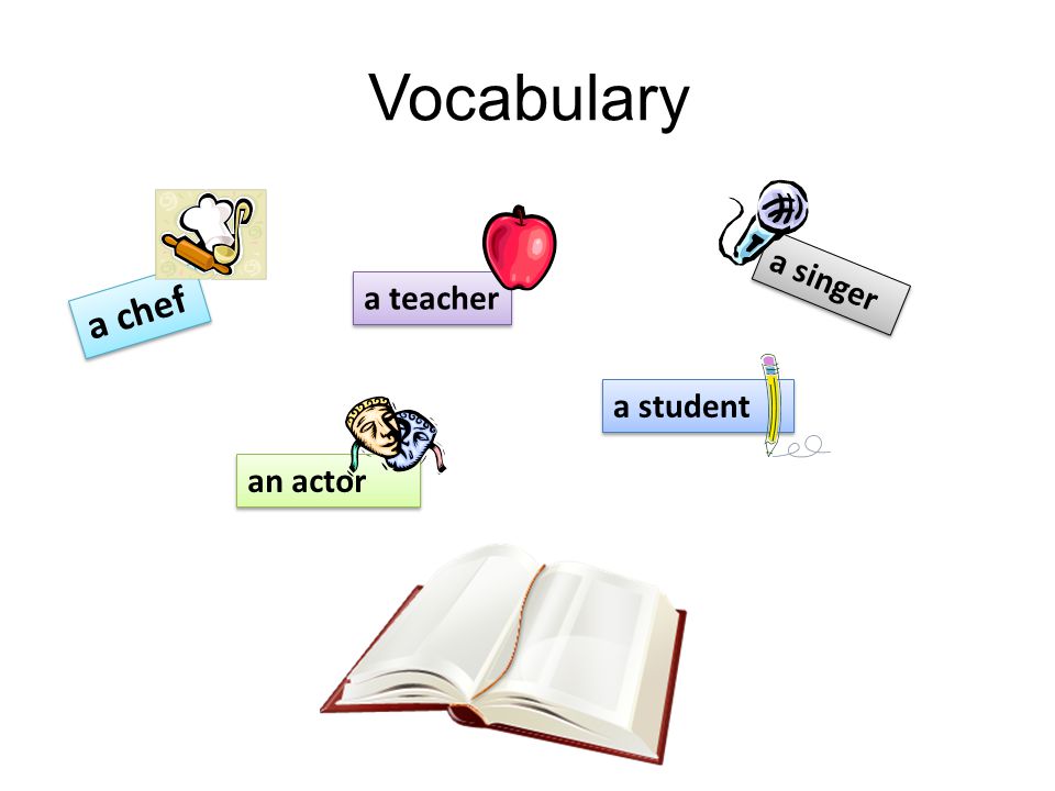 Vocabulary a chef a teacher a singer an actor a student