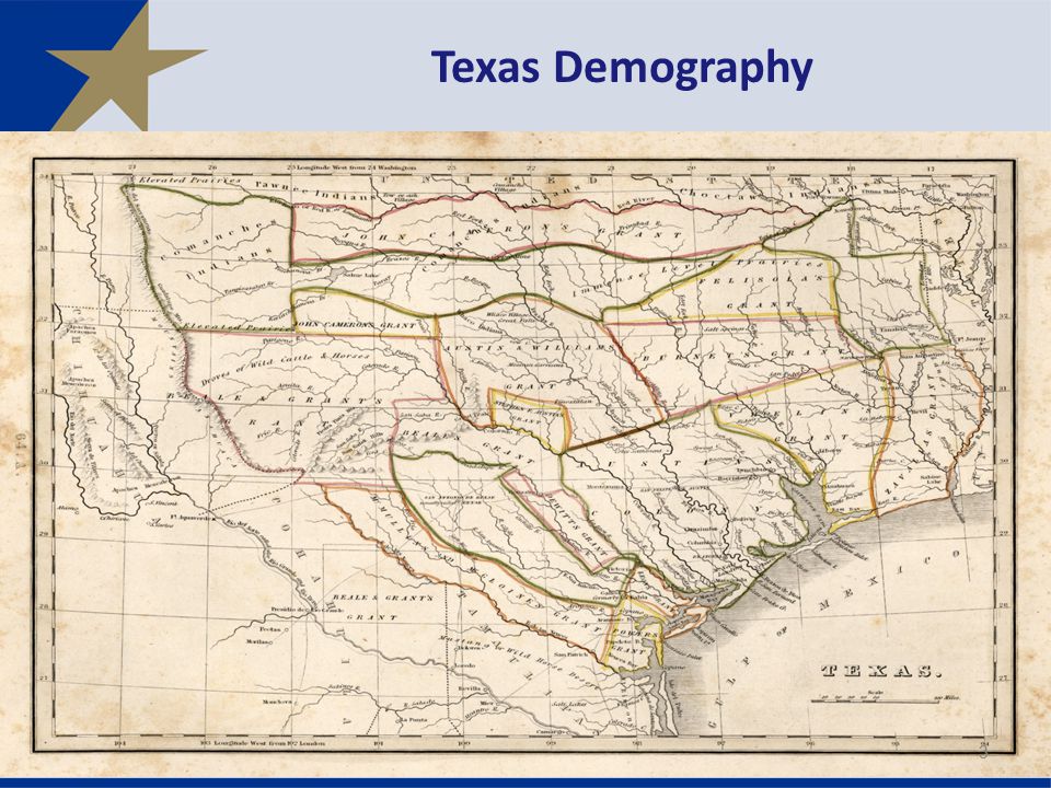 Texas Demography 3