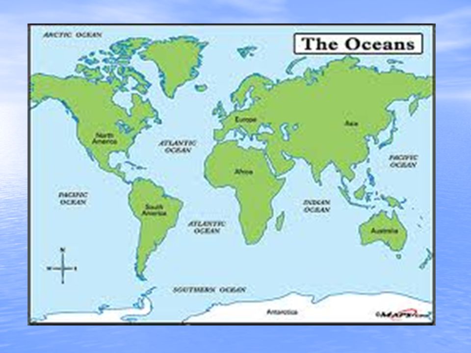 Geographical Location It is the largest of all the biomes covering three fourths of the earth s surface.
