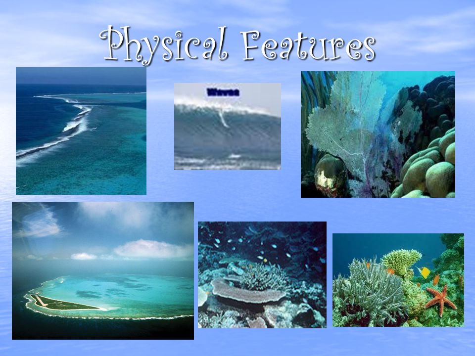 Physical Features - Landscape There are many mountians and valcanos under the water.