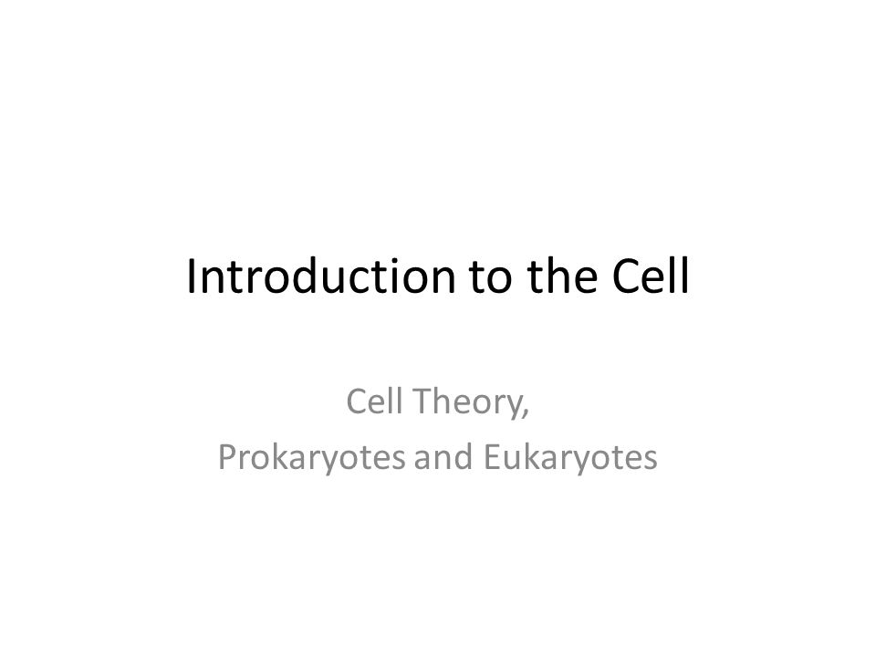 Introduction to the Cell Cell Theory, Prokaryotes and Eukaryotes