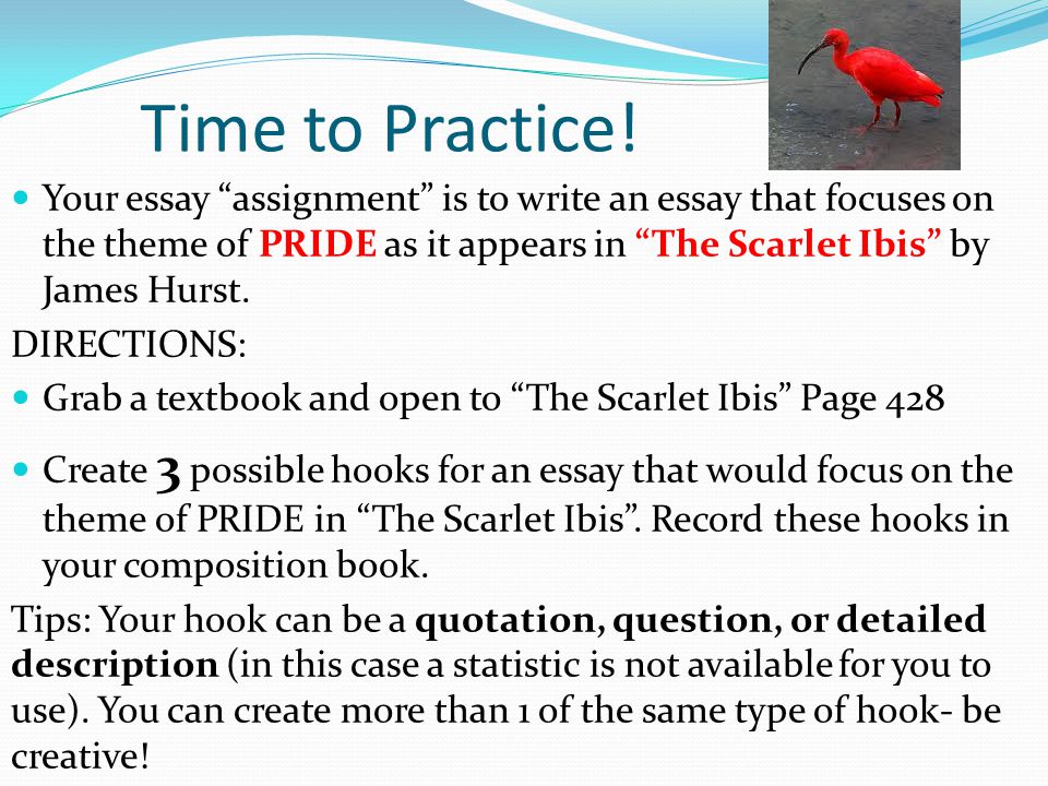 hook of an essay