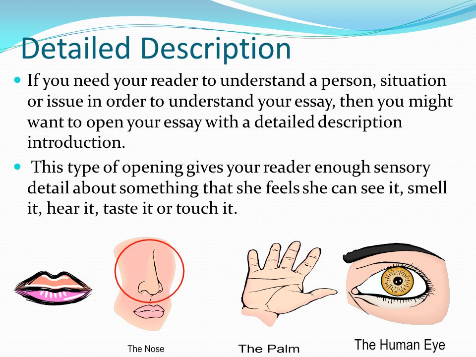Warriors Dont Cry Essay Job Description And Person Specification Narrative Essay About A Lesson Learned also To Kill A Mockingbird Symbolism Essay News Proair Services Inc Essay Description Of A Person Legal Essay Structure
