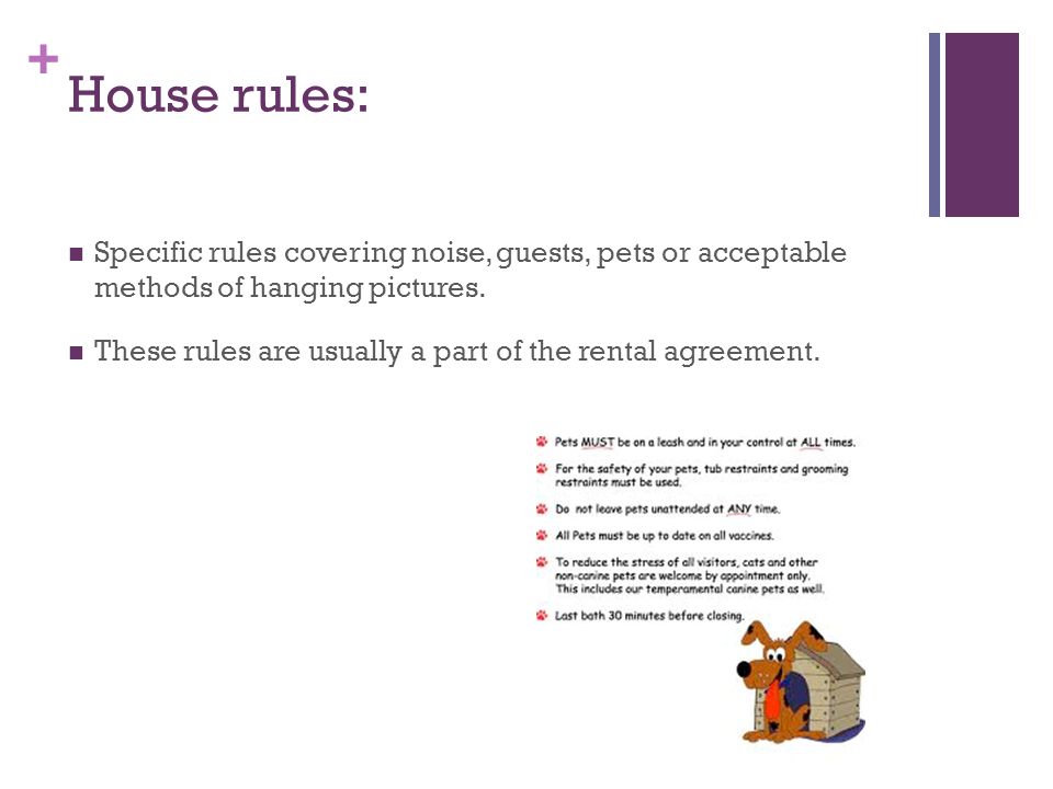 + House rules: Specific rules covering noise, guests, pets or acceptable methods of hanging pictures.