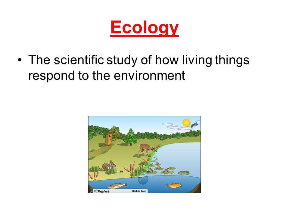 Ecology The scientific study of how living things respond to the environment