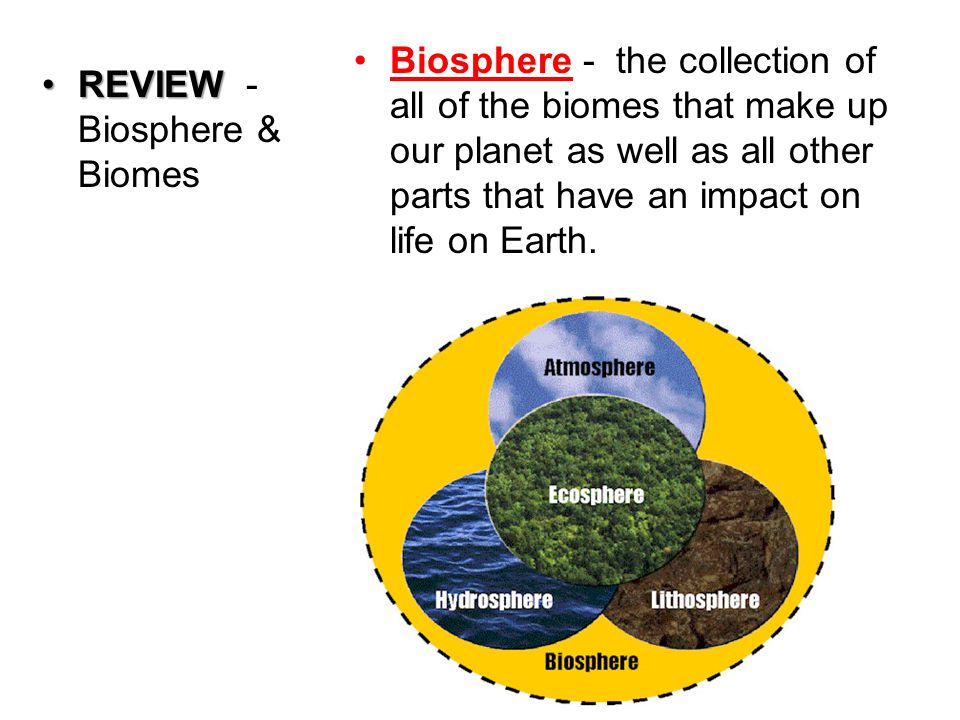 REVIEWREVIEW - Biosphere & Biomes Biosphere - the collection of all of the biomes that make up our planet as well as all other parts that have an impact on life on Earth.
