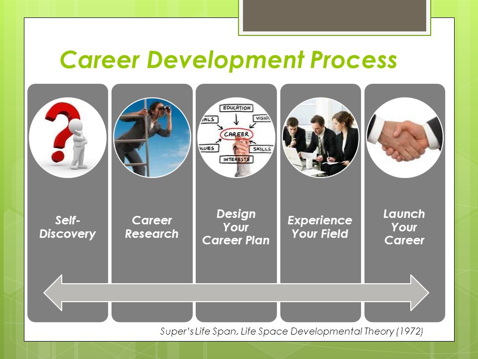 supers theory on establishment stage of career development research career development theories