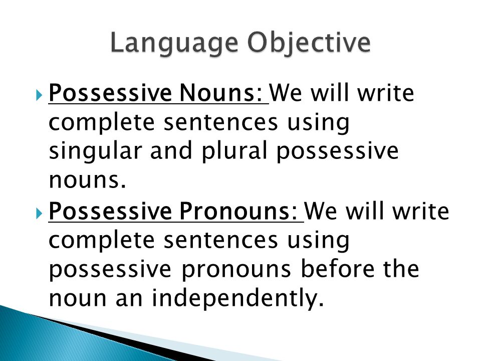  Possessive Nouns: We will write complete sentences using singular and plural possessive nouns.