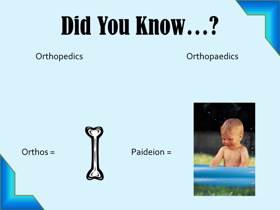 Did You Know… Orthopedics Orthopaedics Orthos =Paideion =
