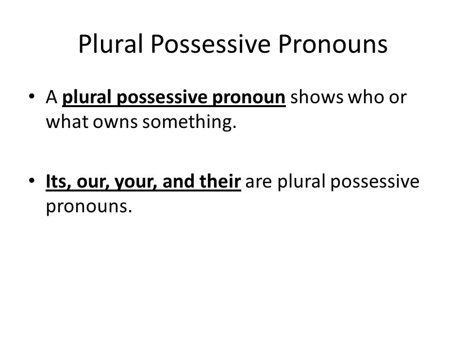 Plural Possessive Pronouns A plural possessive pronoun shows who or what owns something.