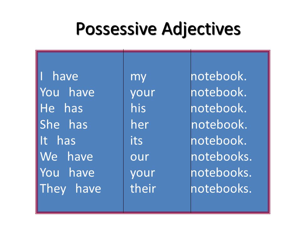 Possessive Adjectives I have my notebook. You have your notebook.