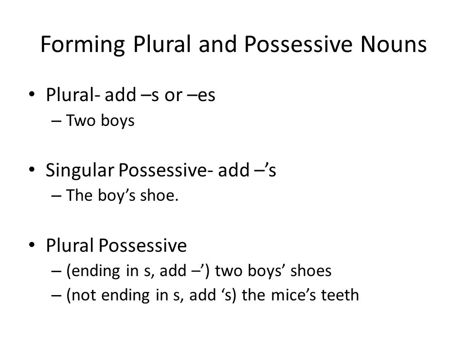 Forming Plural and Possessive Nouns Plural- add –s or –es – Two boys Singular Possessive- add –’s – The boy’s shoe.