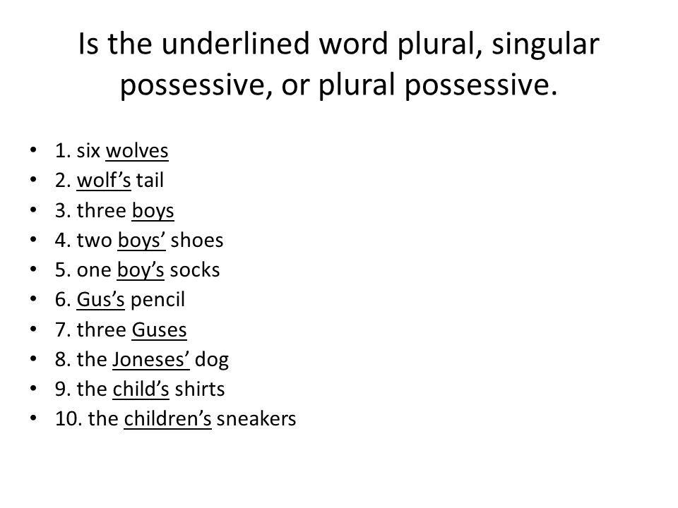 Is the underlined word plural, singular possessive, or plural possessive.