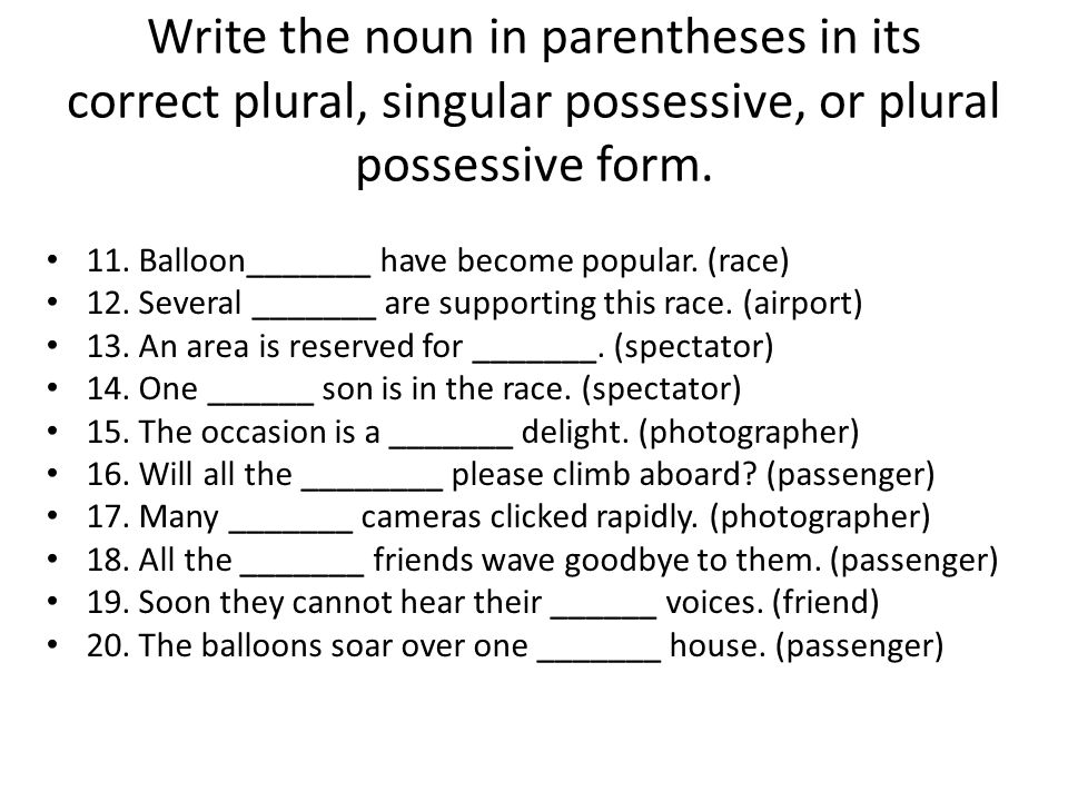 Write the noun in parentheses in its correct plural, singular possessive, or plural possessive form.