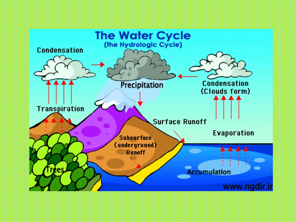 earths hydrologic cycle essay earths hydrologic cycle essay