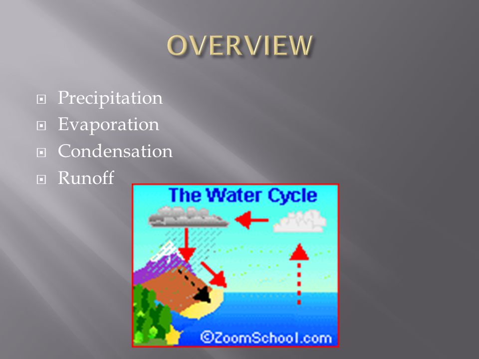  Precipitation  Evaporation  Condensation  Runoff