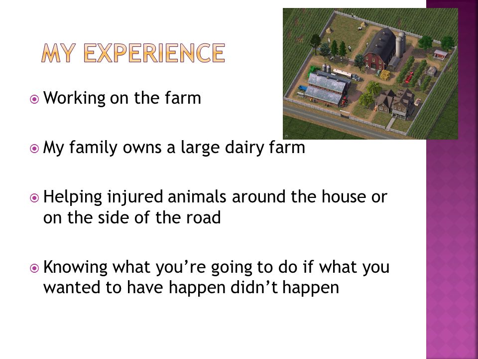  Working on the farm  My family owns a large dairy farm  Helping injured animals around the house or on the side of the road  Knowing what you’re going to do if what you wanted to have happen didn’t happen