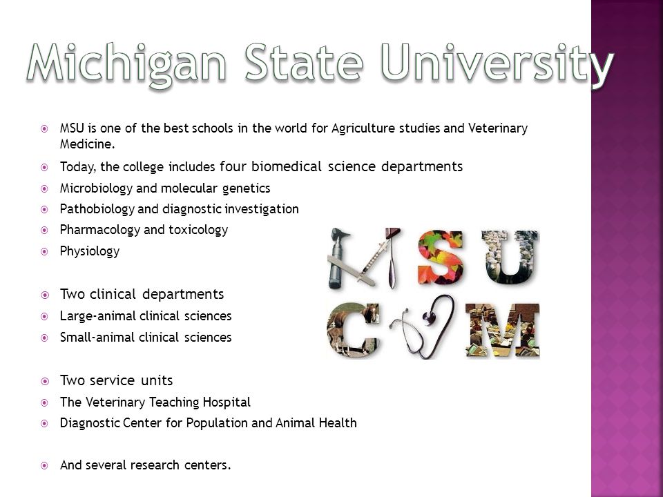  MSU is one of the best schools in the world for Agriculture studies and Veterinary Medicine.
