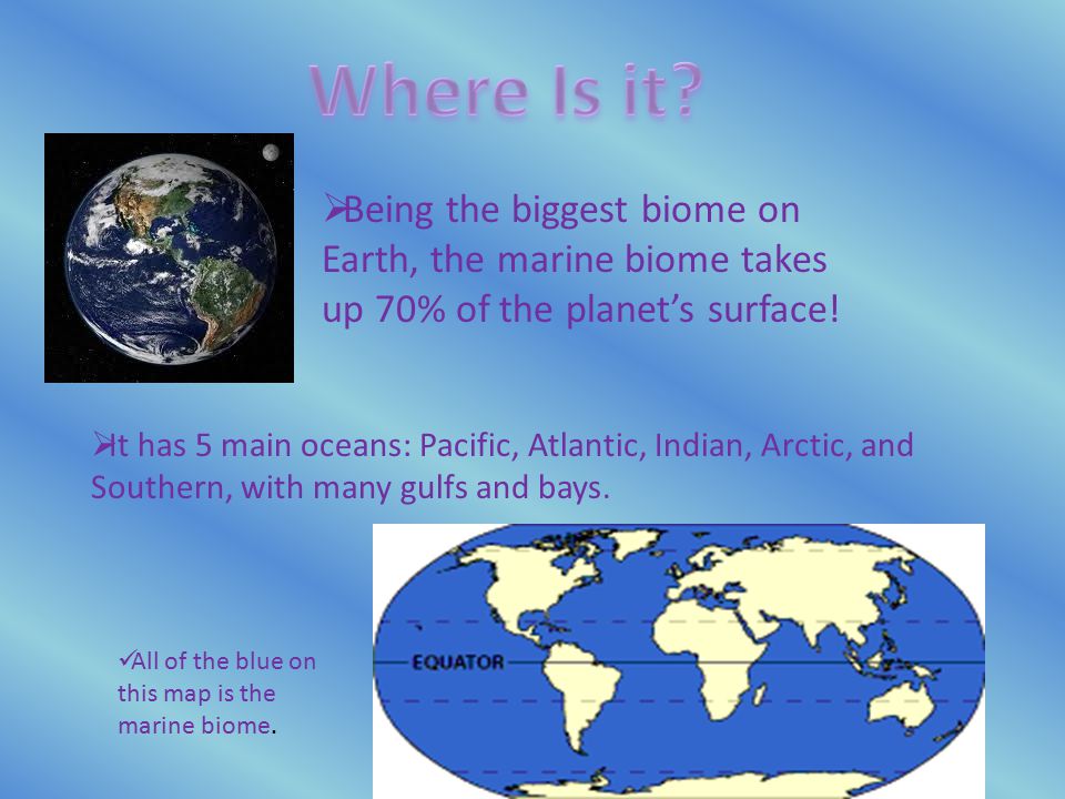  Being the biggest biome on Earth, the marine biome takes up 70% of the planet’s surface.
