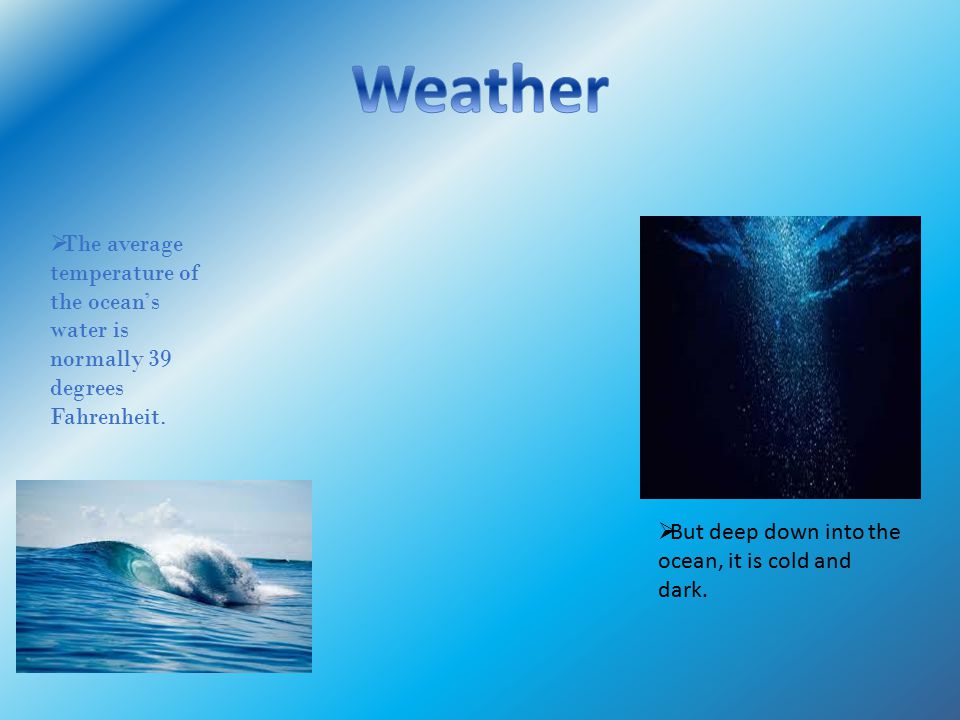  The average temperature of the ocean’s water is normally 39 degrees Fahrenheit.