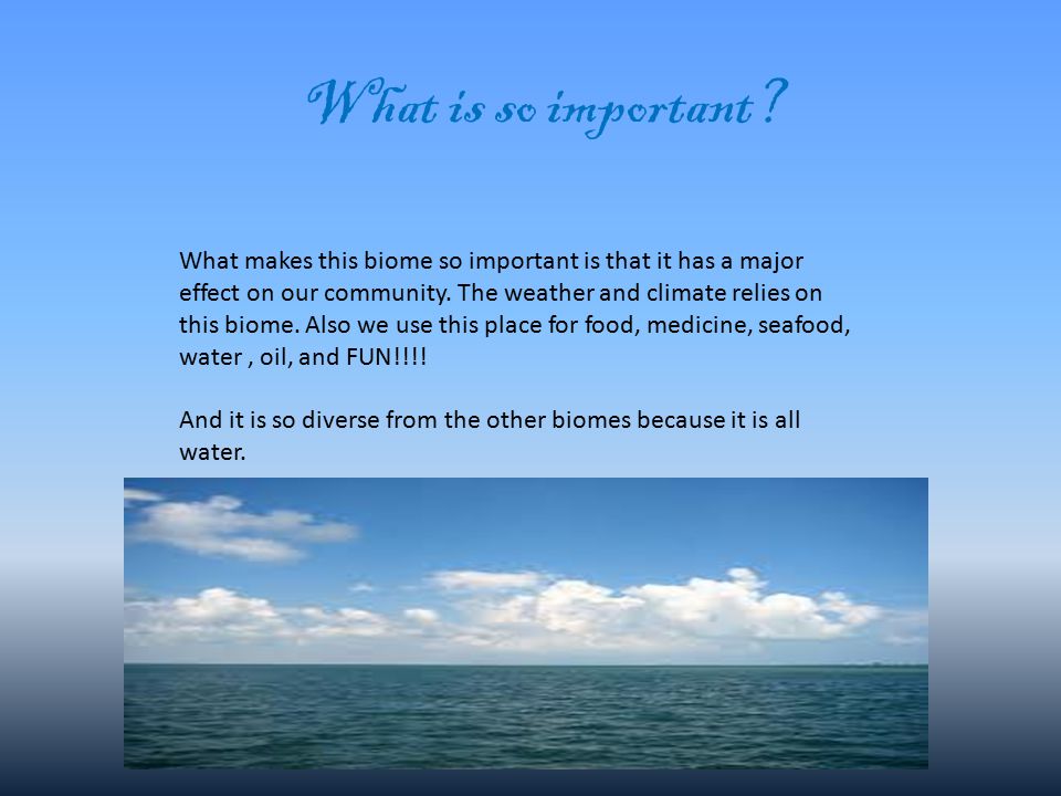 What is so important.