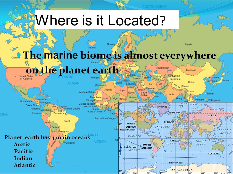 Where is it Located .