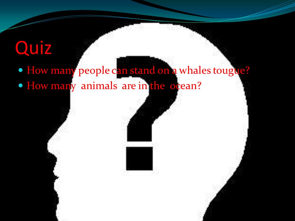 Quiz How many people can stand on a whales tougue How many animals are in the ocean