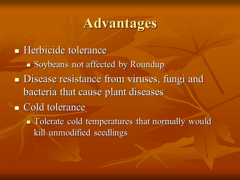 Advantages Herbicide tolerance Herbicide tolerance Soybeans not affected by Roundup Soybeans not affected by Roundup Disease resistance from viruses, fungi and bacteria that cause plant diseases Disease resistance from viruses, fungi and bacteria that cause plant diseases Cold tolerance Cold tolerance Tolerate cold temperatures that normally would kill unmodified seedlings Tolerate cold temperatures that normally would kill unmodified seedlings