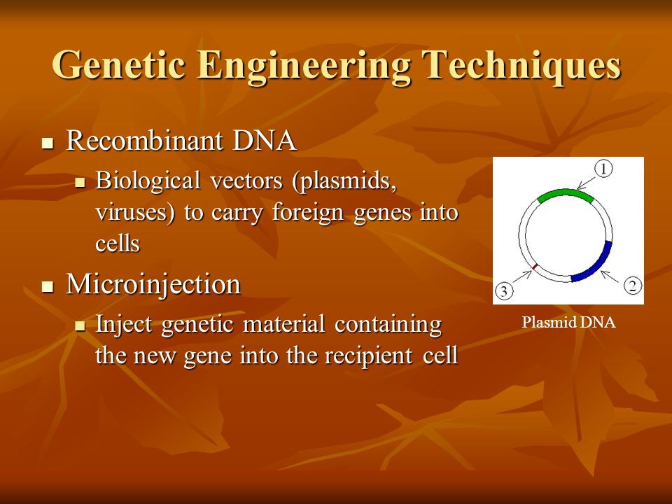 Genetic Engineering Techniques Recombinant DNA Recombinant DNA Biological vectors (plasmids, viruses) to carry foreign genes into cells Biological vectors (plasmids, viruses) to carry foreign genes into cells Microinjection Microinjection Inject genetic material containing the new gene into the recipient cell Inject genetic material containing the new gene into the recipient cell Plasmid DNA
