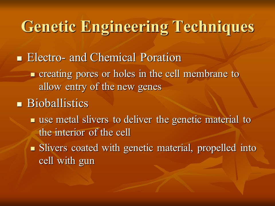 Genetic Engineering Techniques Electro- and Chemical Poration Electro- and Chemical Poration creating pores or holes in the cell membrane to allow entry of the new genes creating pores or holes in the cell membrane to allow entry of the new genes Bioballistics Bioballistics use metal slivers to deliver the genetic material to the interior of the cell use metal slivers to deliver the genetic material to the interior of the cell Slivers coated with genetic material, propelled into cell with gun Slivers coated with genetic material, propelled into cell with gun