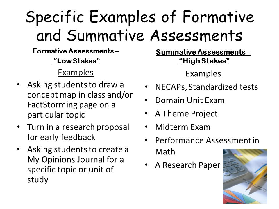Essay Examples