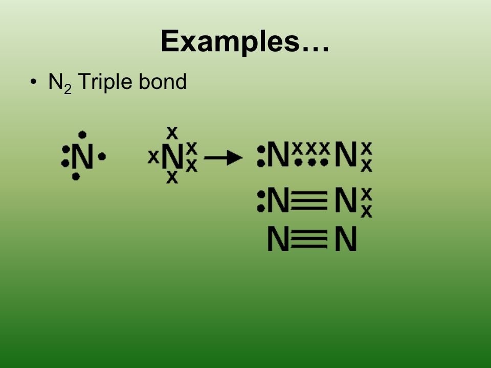 Examples… N 2 Triple bond