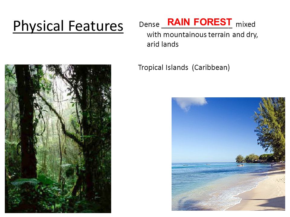 Physical Features Dense __________________ mixed with mountainous terrain and dry, arid lands Tropical Islands (Caribbean) RAIN FOREST
