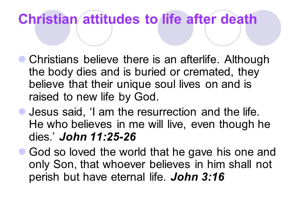 afterlife essay In the egyptian religion, there is belief in an afterlife the egyptians believe that another life continued after one has died because their. afterlife essay In the egyptian religion, there is belief in an afterlife the egyptians believe that another life continued after one has died because their.