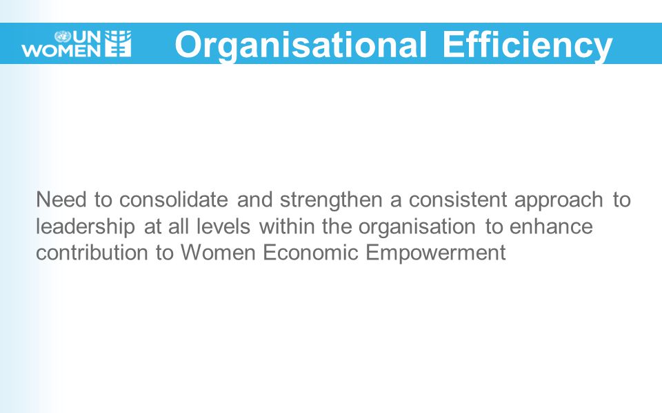 Organisational Efficiency Need to consolidate and strengthen a consistent approach to leadership at all levels within the organisation to enhance contribution to Women Economic Empowerment